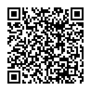 ふるなびサイトへ