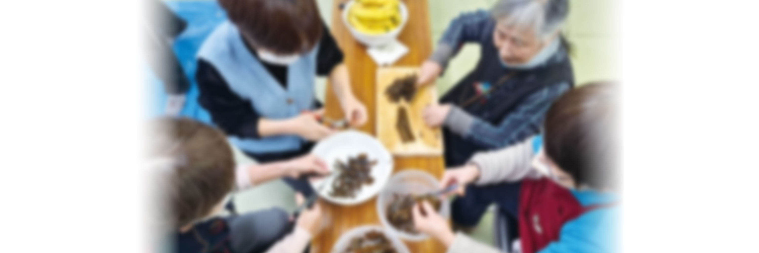 ボランティア募集